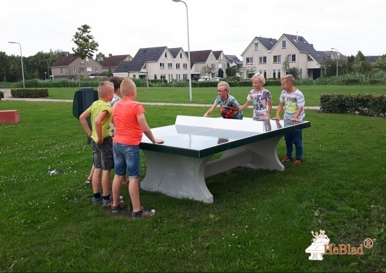 concrete Ping-Pong table - cornered